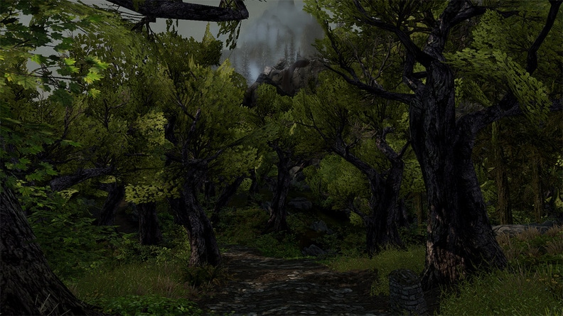 Enderal Screenshot: Wald