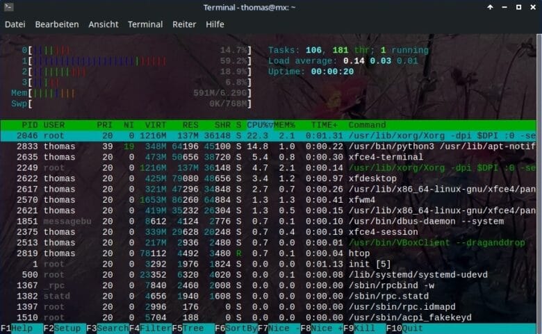 The Htop Output