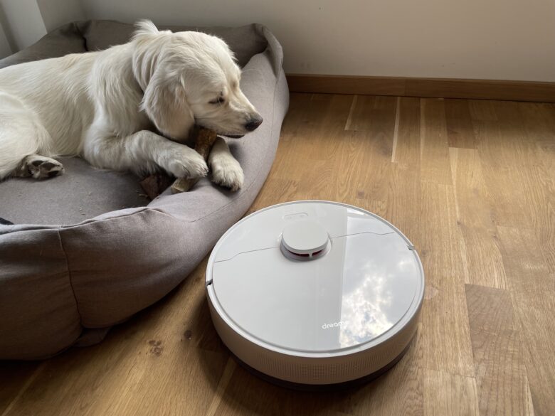 Dreame D10 Plus in test next to a dog