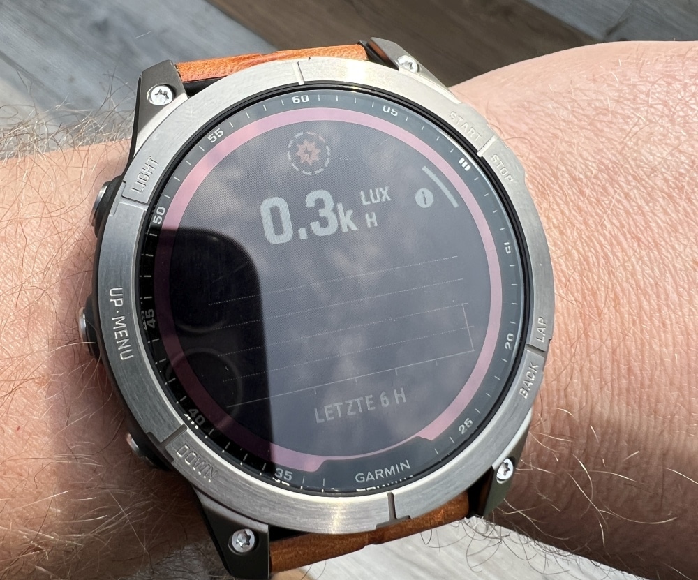 Brutal ungdomskriminalitet gentagelse Garmin Fenix 7 Sapphire Solar Test: The perfect fitness watch?
