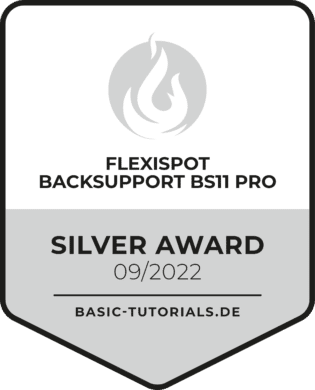 Flexispot BackSupport BS11 Pro Test: Silver Award