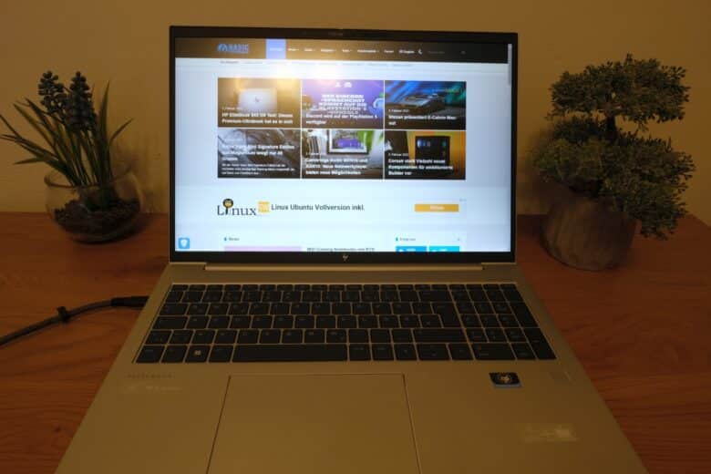 HP EliteBook 865 G9 Display