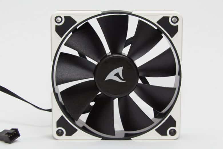 Black and white fans