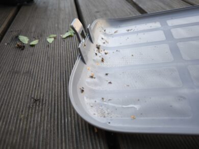 In der Nähe der Verriegelung sammeln sich einige Insekten.